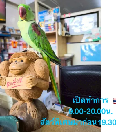 N.K. Veterinarian, Poultry and Mammal Specialty Clinic