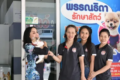 Description Animal treatment