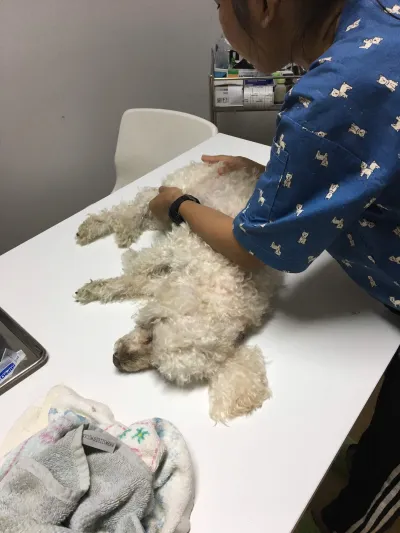 Aunjai Rak Veterinary Hospital