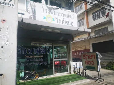 Animal hospital near the doctor