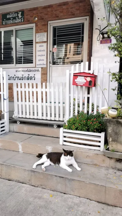 Baan Rak Animal Clinic