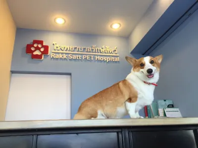 Animal Protection Hospital