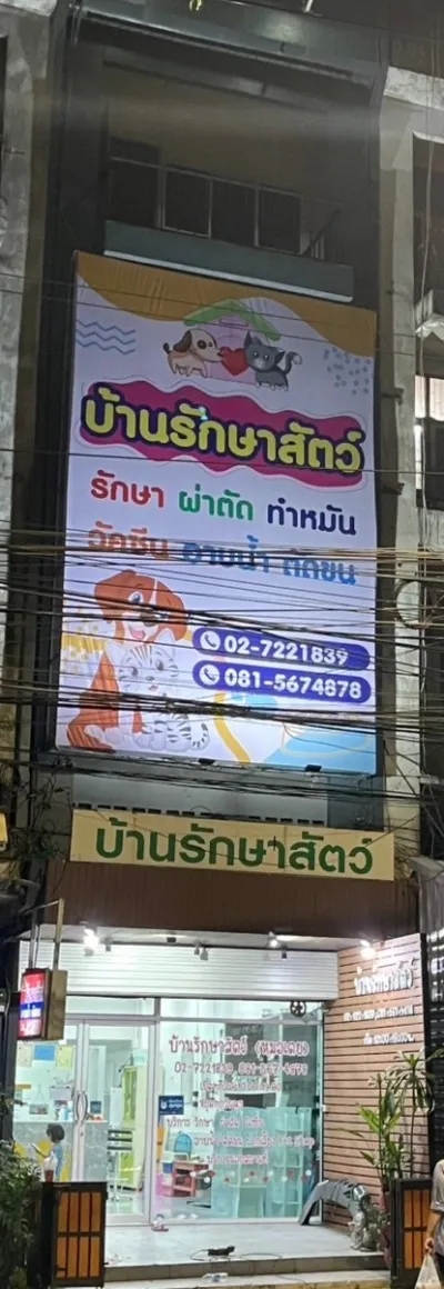 66
