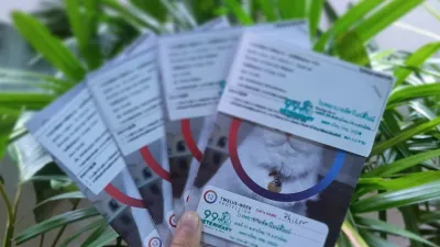 99 Veterinary Hospital and Hotel - Neurology Clinic