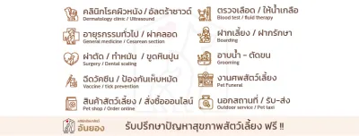 Annyeong Pet Clinic 77