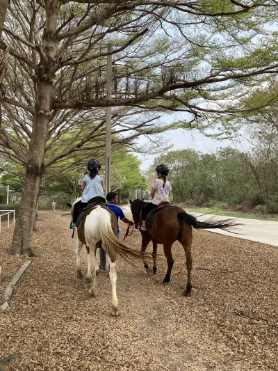 As J Horse Riding Club
