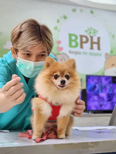 Bang Na Pet Hospital