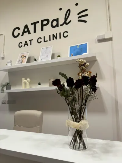 CATPAL CAT CLINIC AND HOTEL