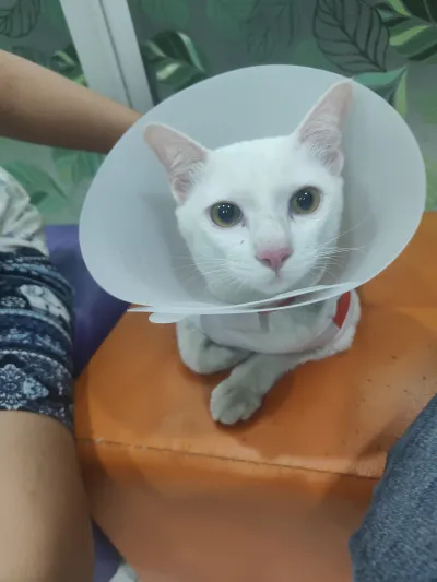 Khlong Chan Veterinary Hospital