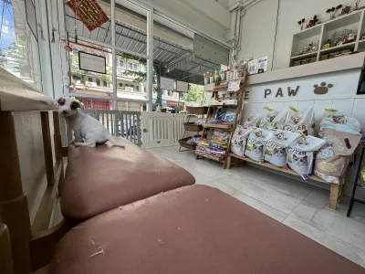 Little Paw Pet Clinic