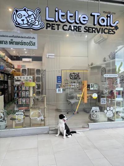 Little Tail Pet Care Services