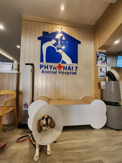 Phyathai 7 Animal Hospital