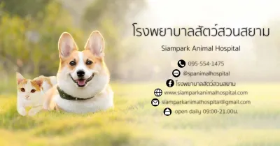 Siam Park Animal Hospital