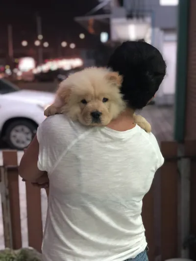 SK Animal Hospital