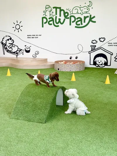 The Paw Park