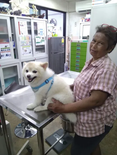 Nana Pet Care (Doctor Kong)