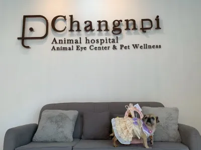Changnoi Animal Hospital : Animal Eye Center & Pet Wellness
