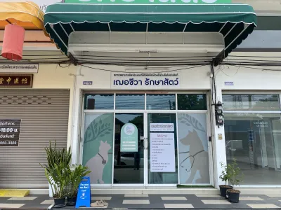 Chercheeva Pet Clinic