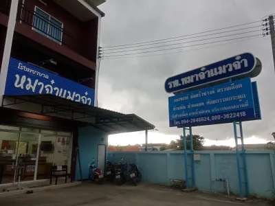 majamaewja animal hospital