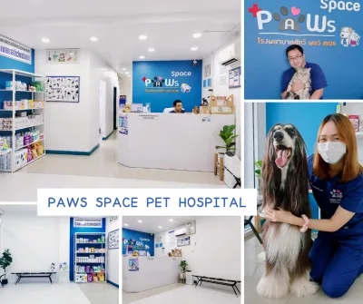 Paws Space Pet Hospital