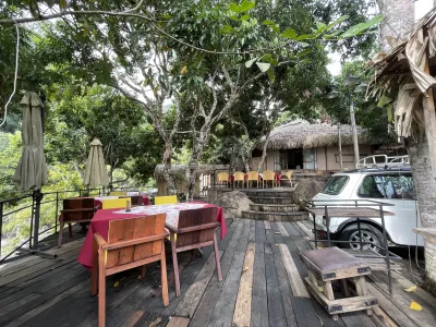 Stay Wild & Cafe