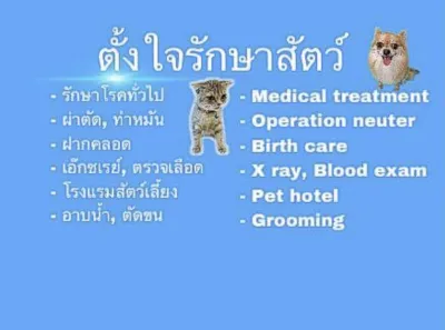 Tungjai pet clinic