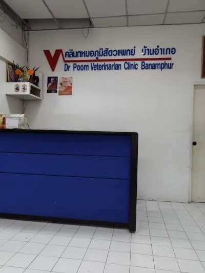 Veterinary Doctor