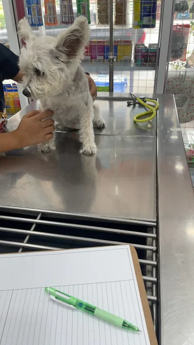 Huay Yai Pet Hospital