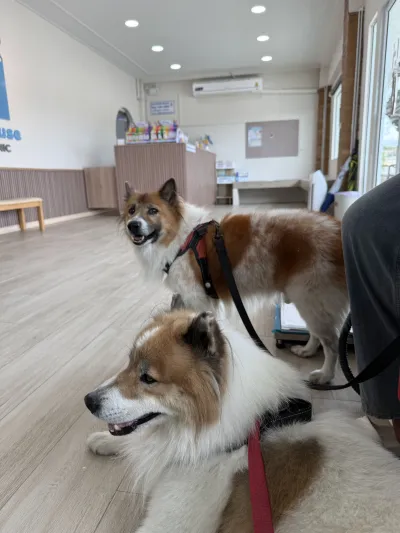 Life House Pet Clinic