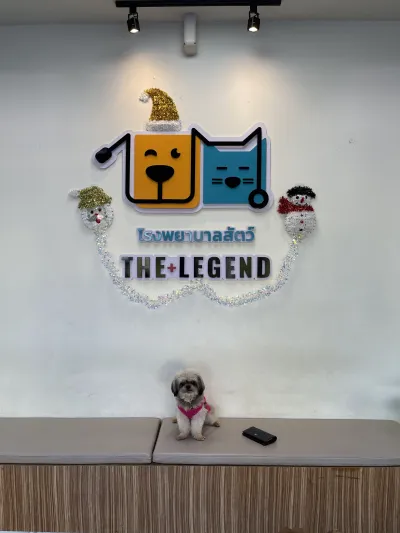 The Legend Animal Hospital