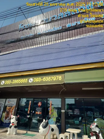 Sumbai at Chumphae Animal hospital