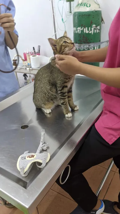 Sompoch Animal Clinic