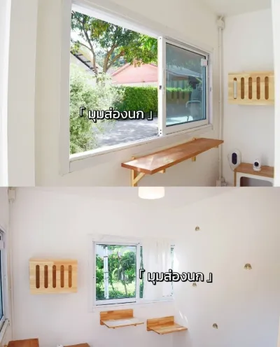 Korat Cat Hotel