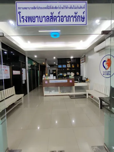 Arparak Pet Hospital