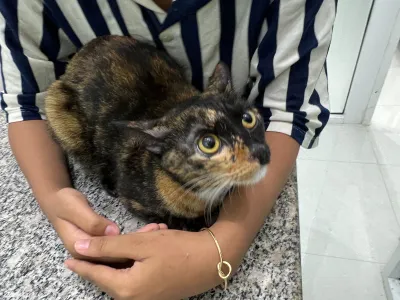 Determined to protect animals