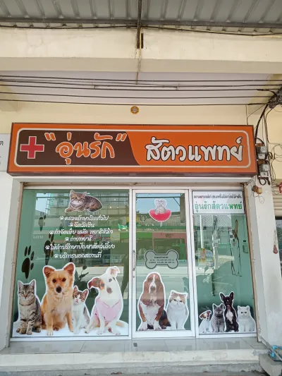 Warm love veterinarian