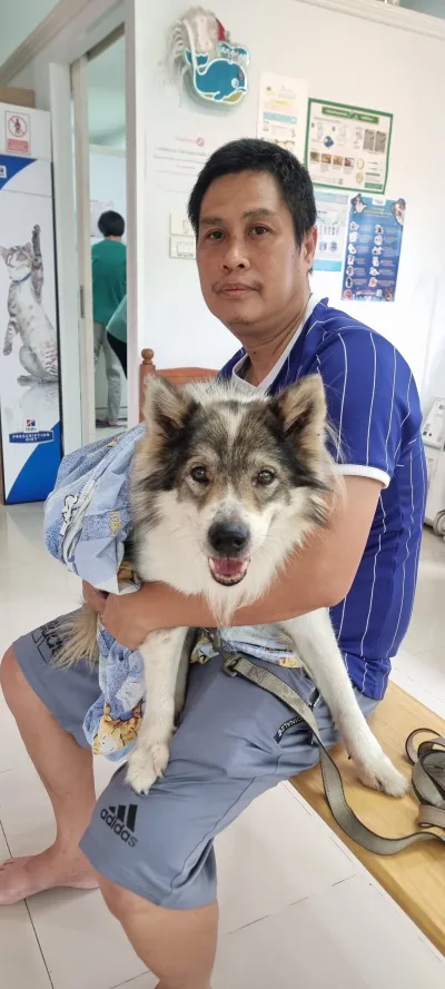 Doctor's house (animal treatment) Sai Noi