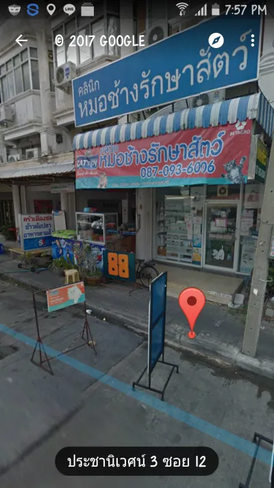 Chang Veterinary Clinic
