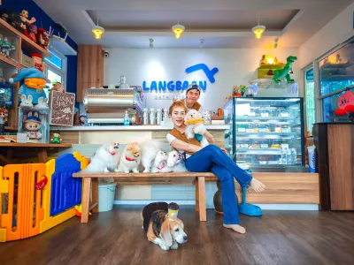 Lang Baan Maltese dog cafe
