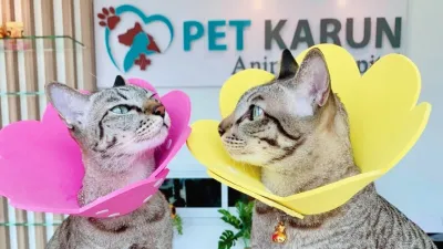 Pet Karun