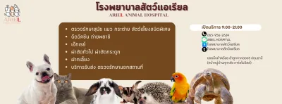 Ariel Animal Hospital