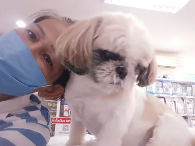 Smile Pets Animal Hospital