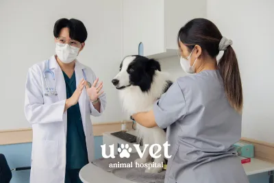 UVET Animal Hospital Rangsit