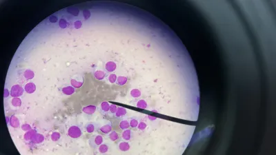 Vetclub Clinic / Vetclub Tierarzt Praxis