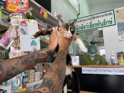 Tonrak Pet Clinic