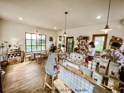 Molley Coffee Stand