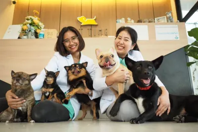 Pet Time Animal Hospital and Dog Hotel