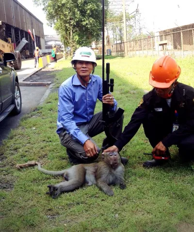 Apiwat Pet Clinic