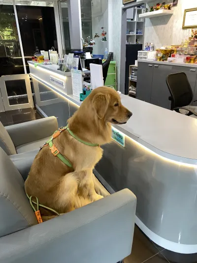 Dr. Watt Animal Hospital Rayong