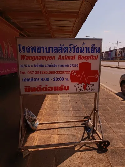 Wang Nam Yen Animal Hospital